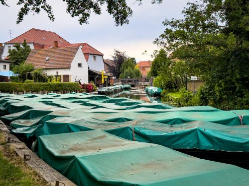 20250706-Kahnkorso-4654 – Foto-Großansicht
