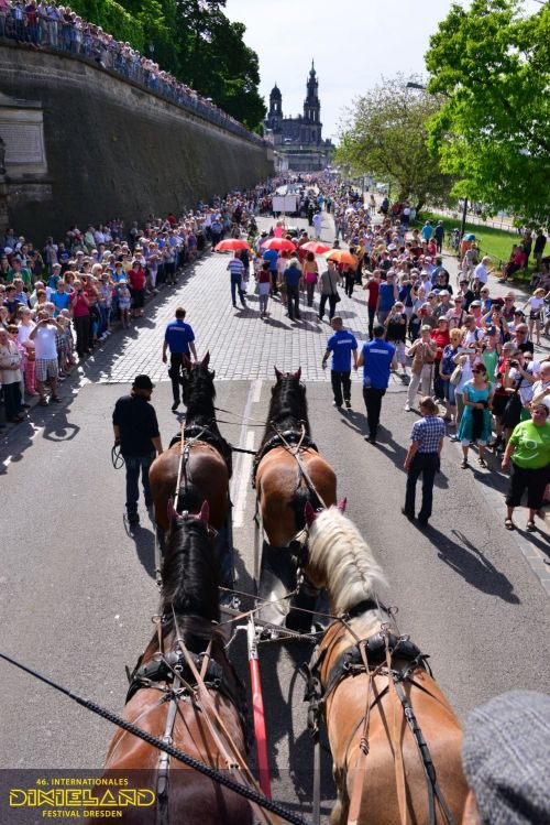 2016-062-Dixielandfestival-Parade-©-Foto-Hendrik-Meyer – Foto-Großansicht
